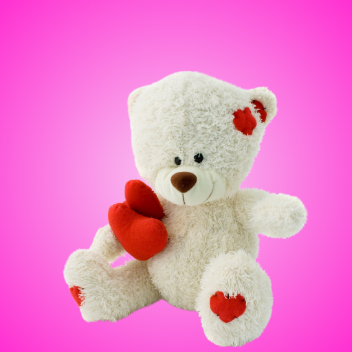 Attractive Personalized Teddy Bear